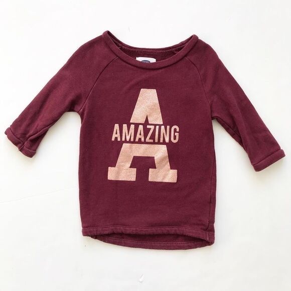 Old Navy amazing berry sweatshirt VGUC 5T - Picture 1 of 4